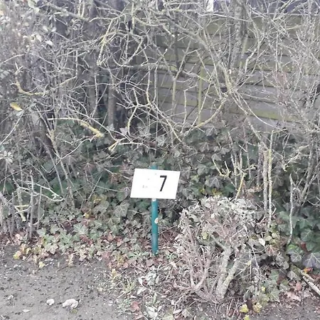 Vakantiepark A Au Rez-de-chaussee *