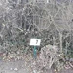 假日公园 A Au Rez-de-chaussee *